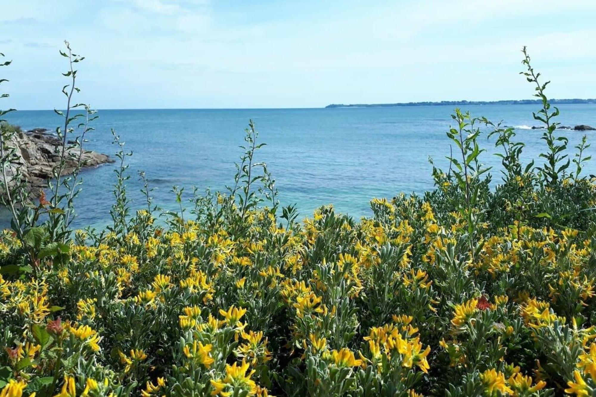 Charmant T3 cosy À 2 pas du bourg et des plages Larmor-Plage Esterno foto